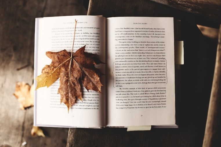Ett löv som ligger på en bok